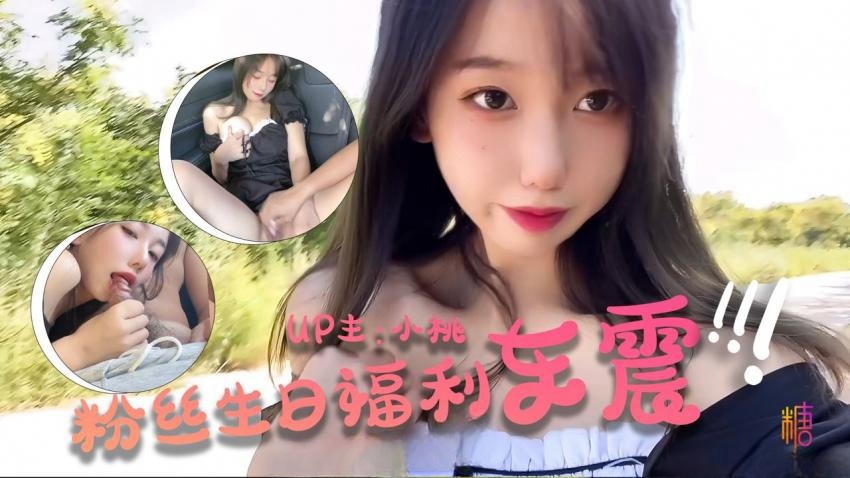 【小桃酱】-粉丝生日祭 - 车震福利